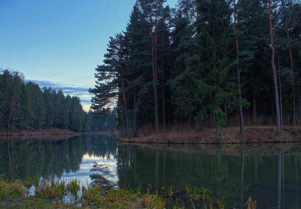 Сумерки, попытка номер 2