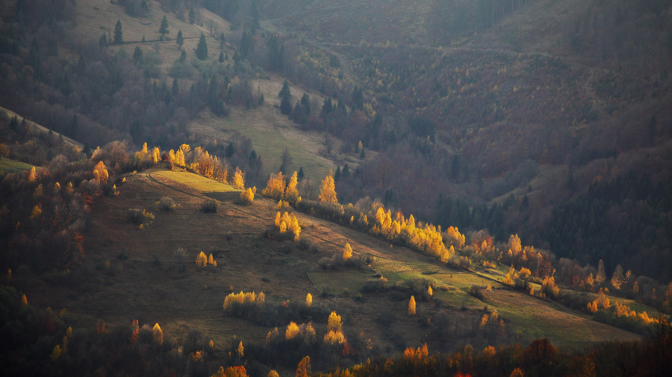 Вечер в начале ноября