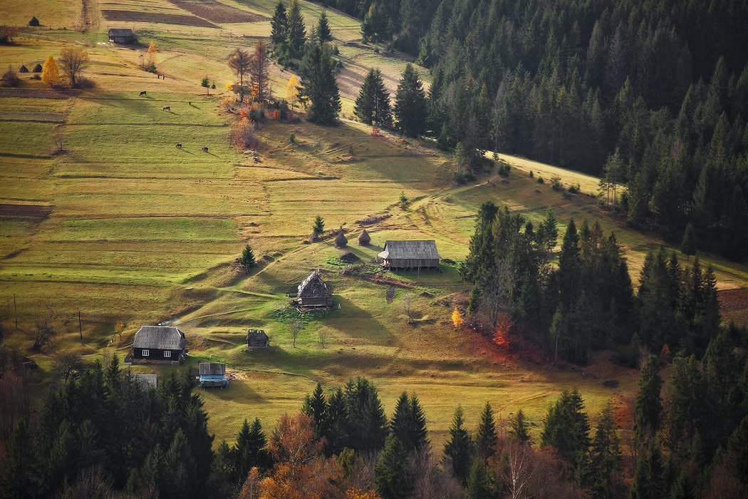 Ноябрьское солнце в карпатском селе 2
