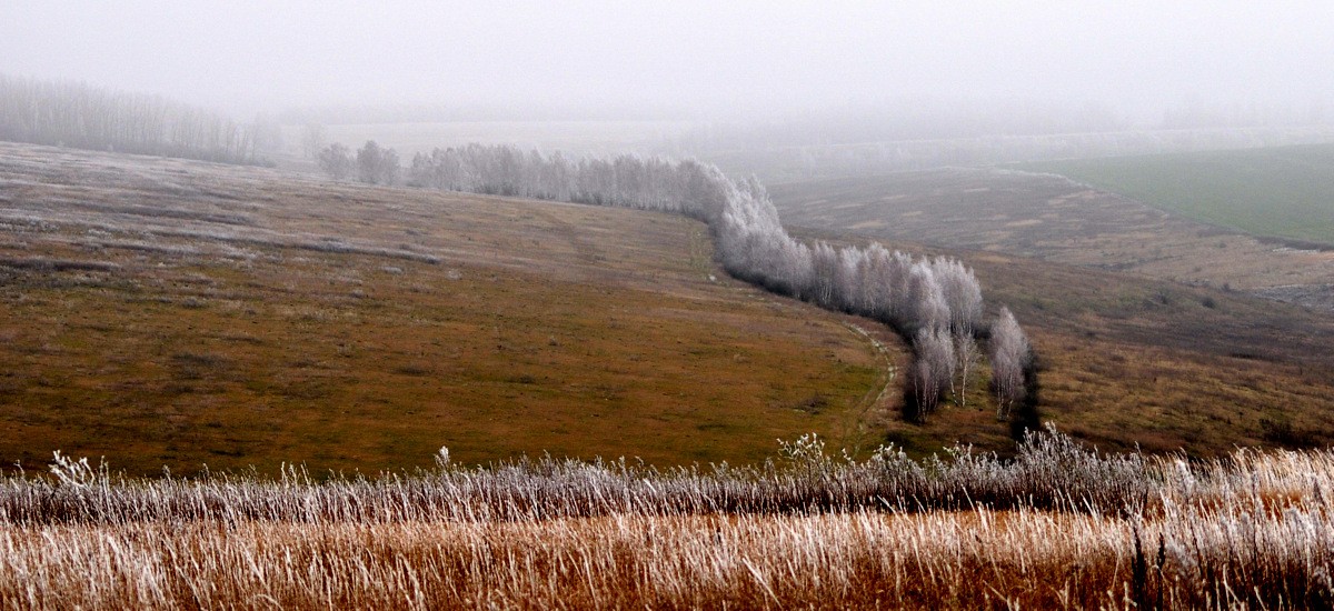 Посеребрило