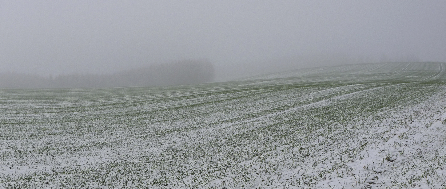 Цвет и линия XI