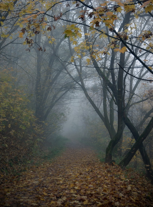тропинка для осени