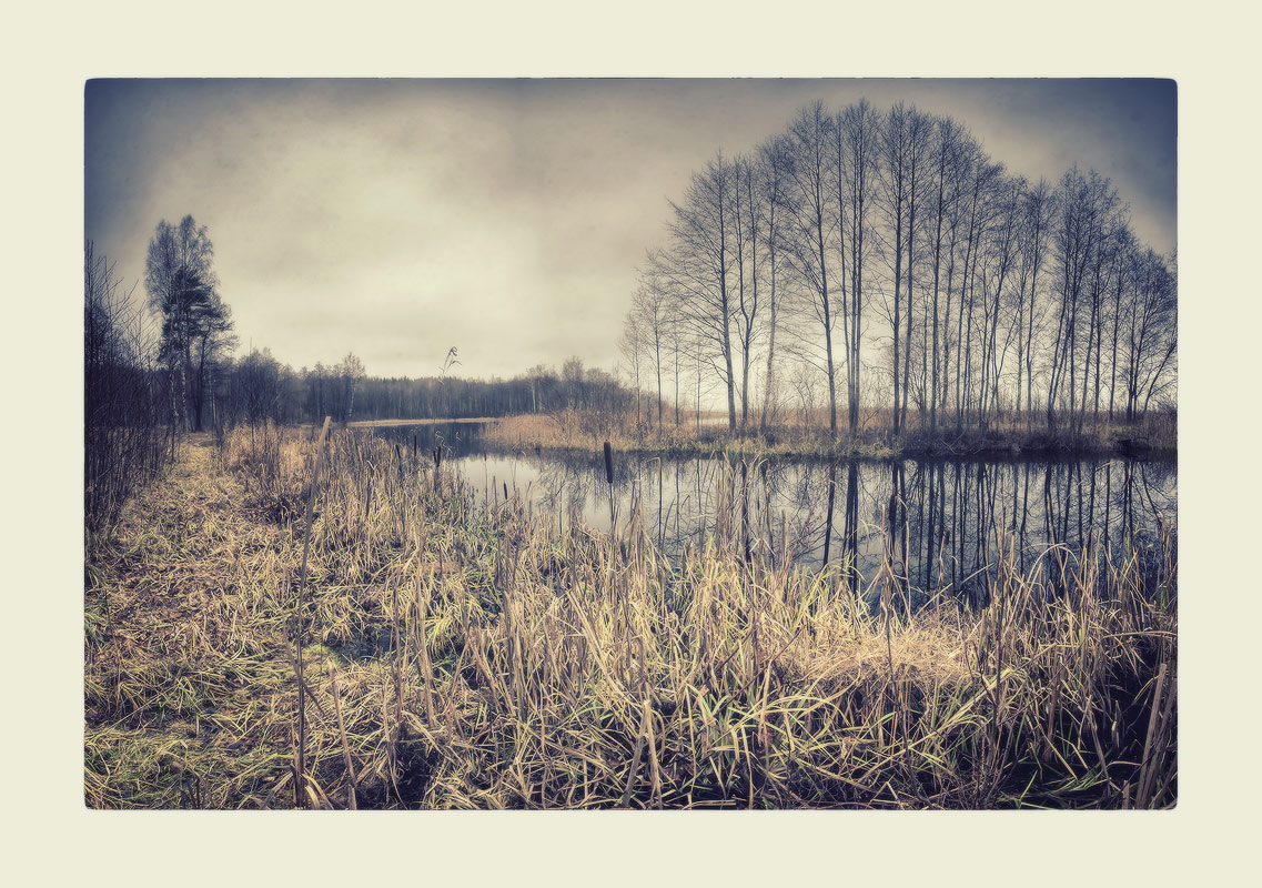 |   Про Лосвидо   |