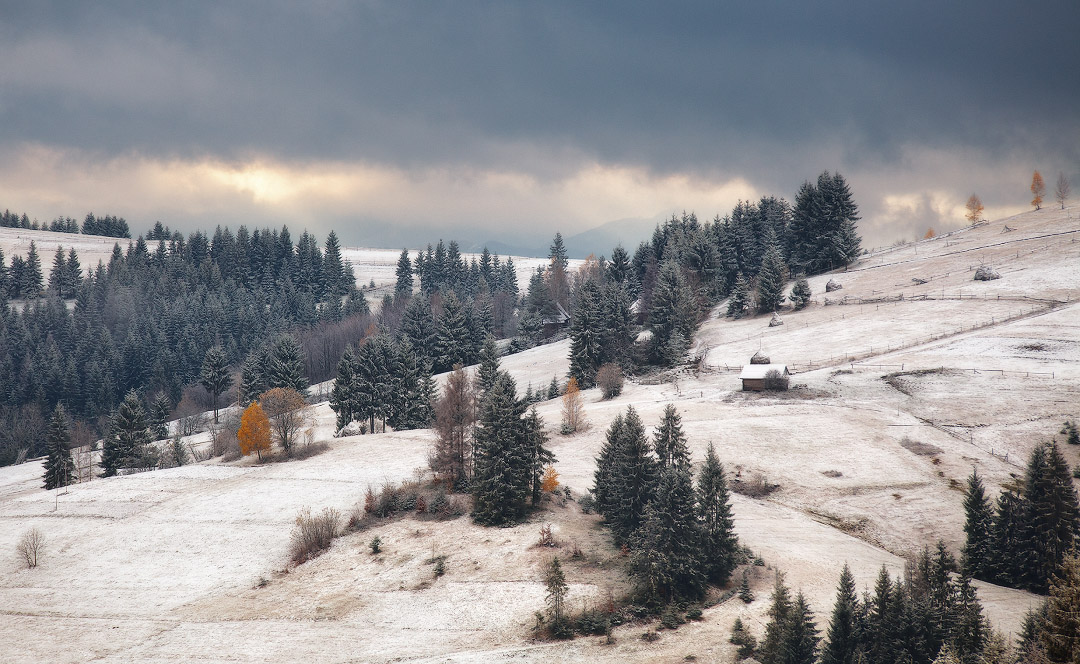Первый снег