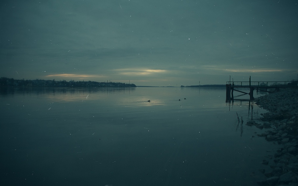 Тимур Кострома. Неделя до зимы