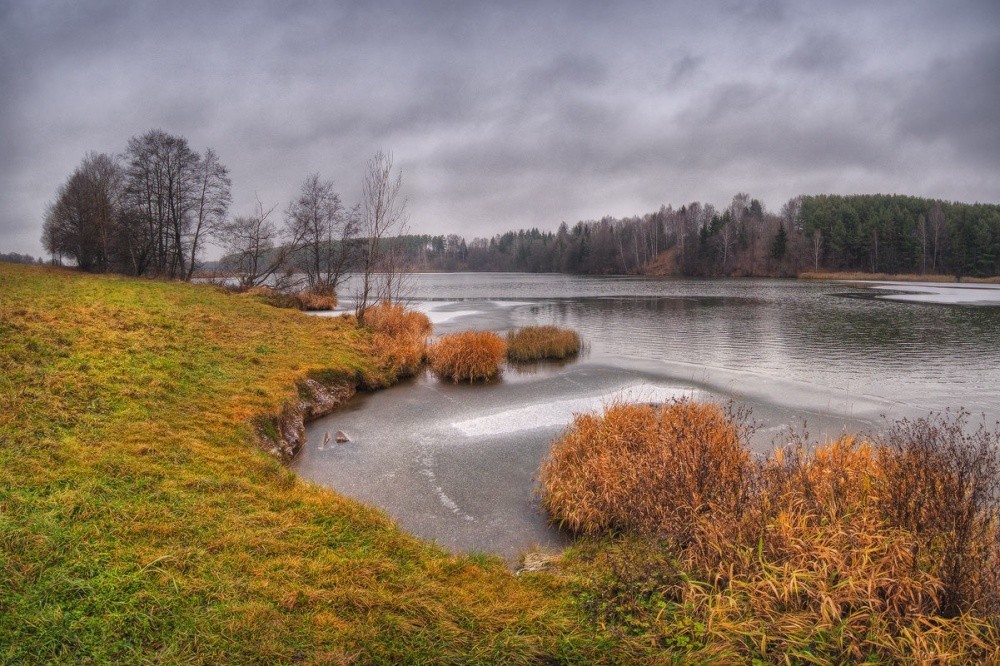 |   ЛЕДОСТАВ   |