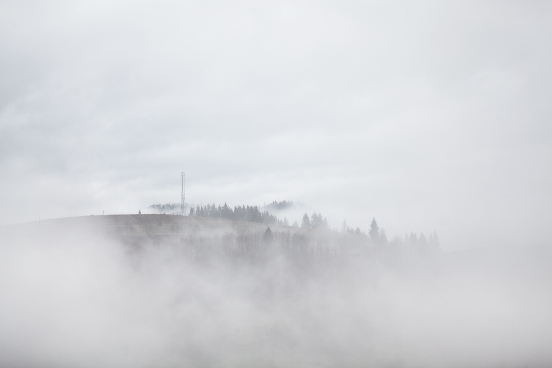 В Белой Акварели Тумана