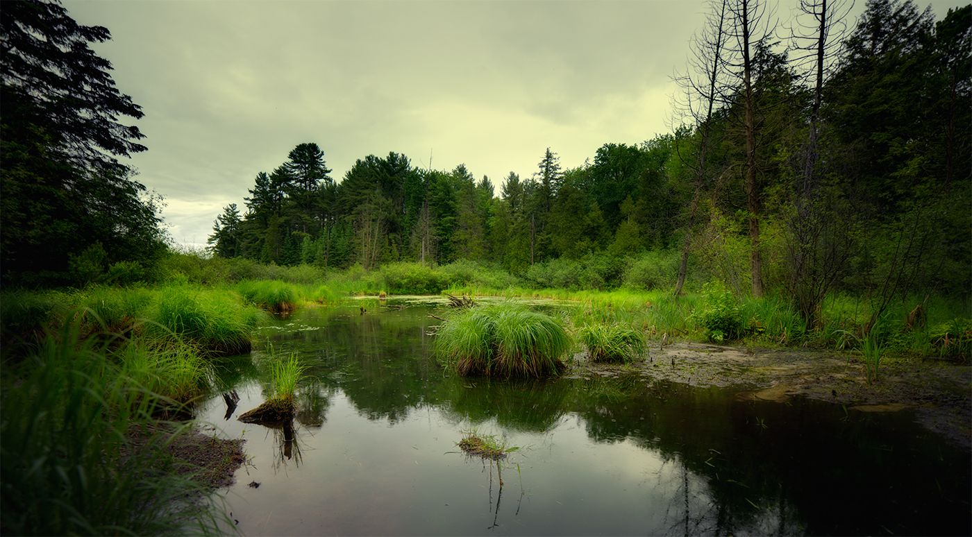 ....скушное местечко