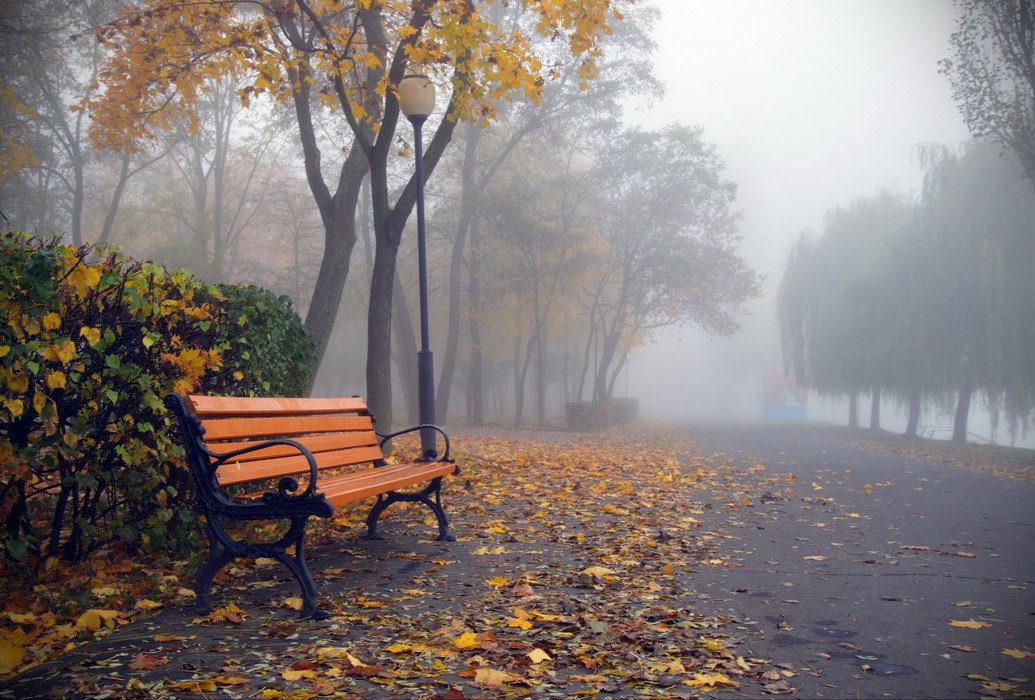 опустели парки