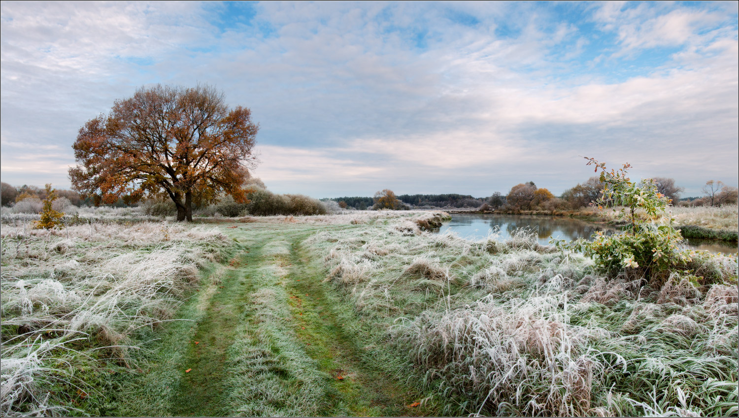 / О первых заморозках.../