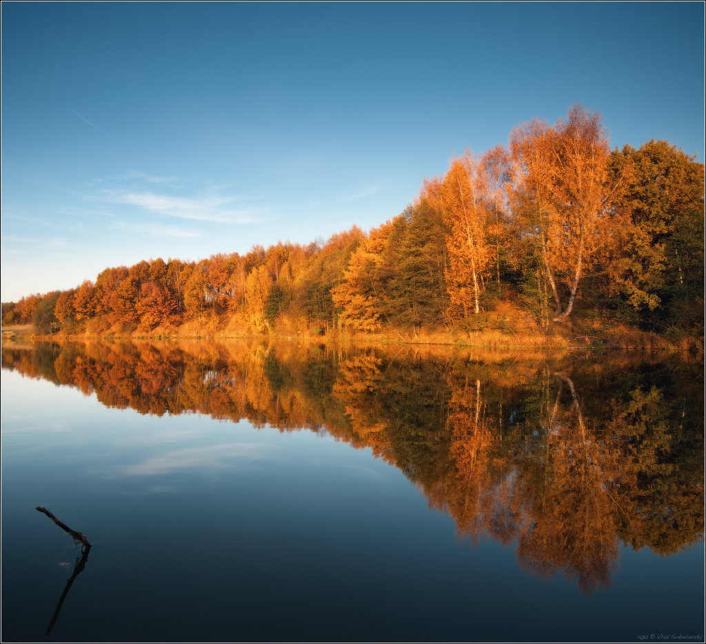 / Рыжий хвост осени .. /