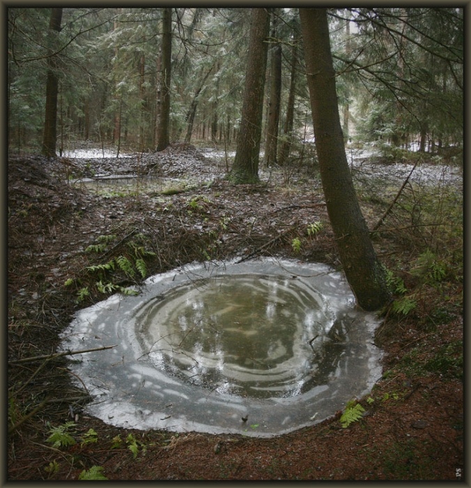 внутри пейзажа...