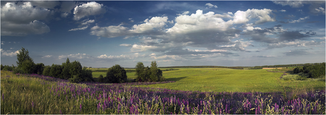 Июньская панорама