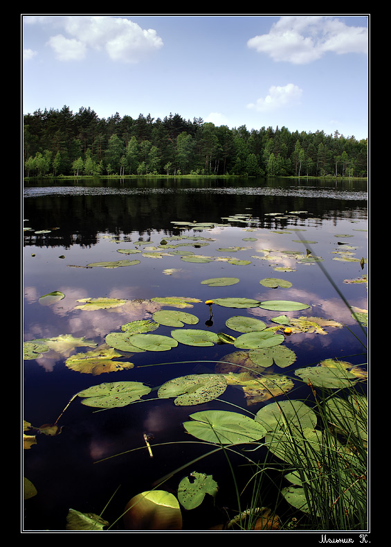 В полуденный зной
