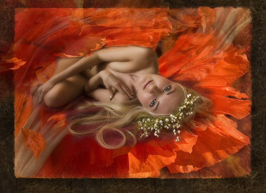 Опиумный сон