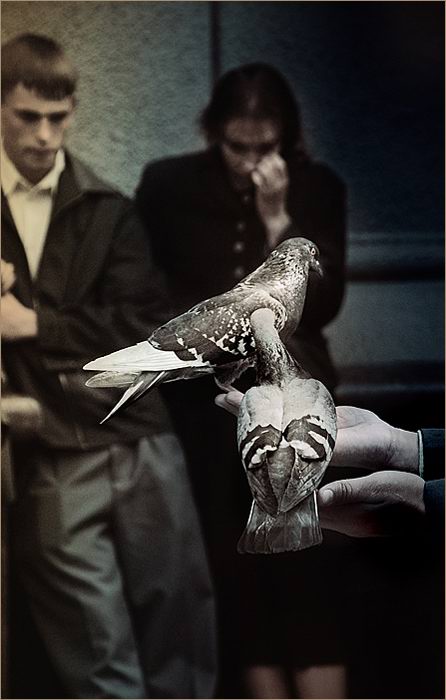 Пикассо... Печаль...