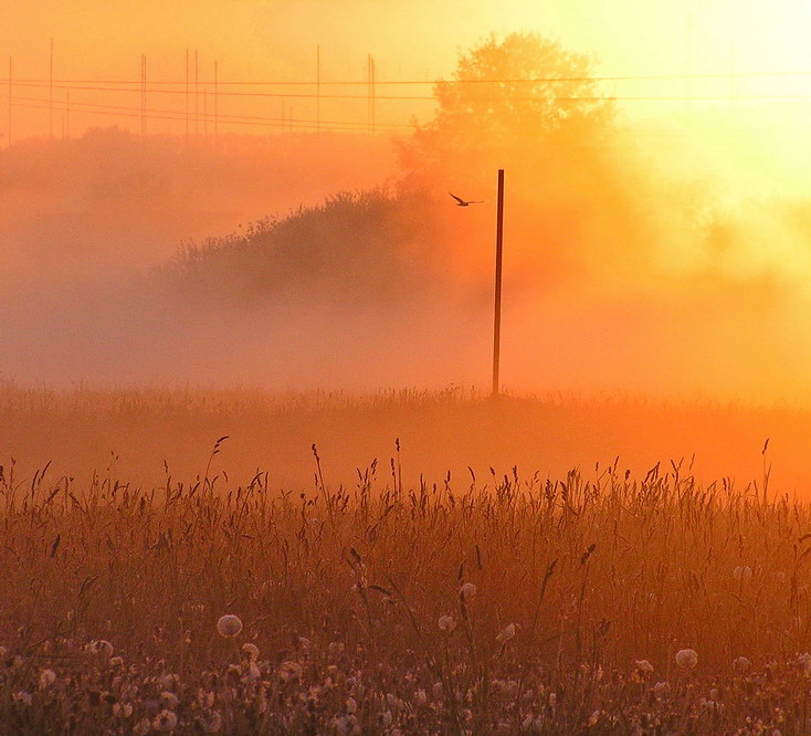 Утренний облет владений