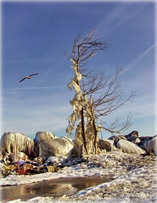 а мы такие вьюги знали!..