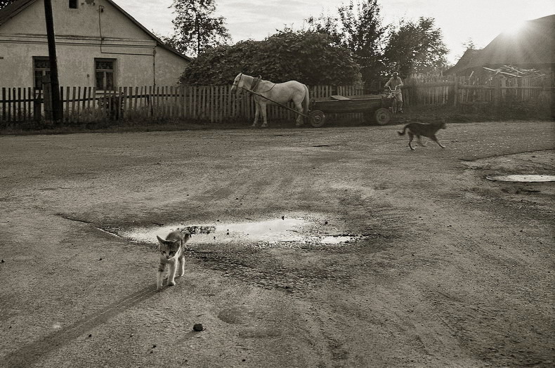 события в деревне 2