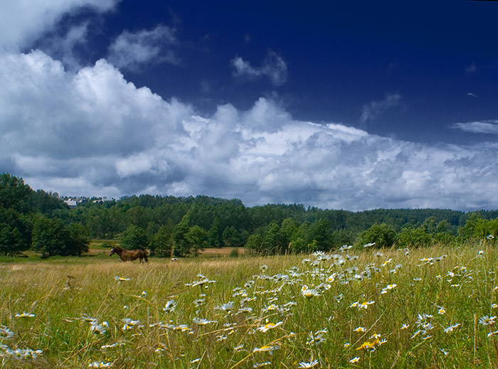 После дождя