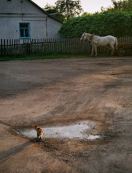 события в деревне 3