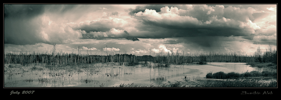 Гроза на болоте