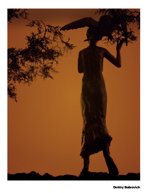 лесная нимфа и сова