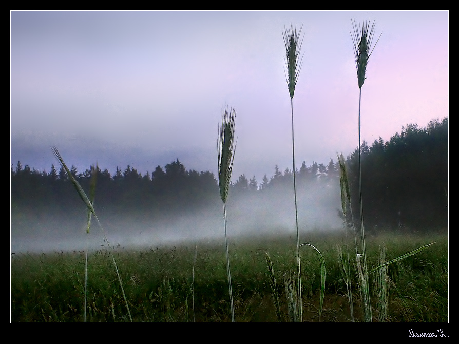 За час до рассвета