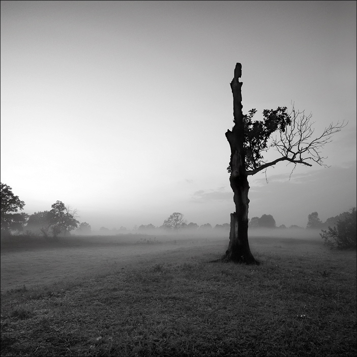 так хочется жить ...