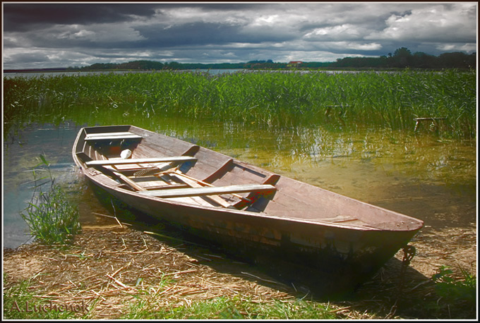 ВОТ ПРОБИЛОСЬ СОЛНЦЕ