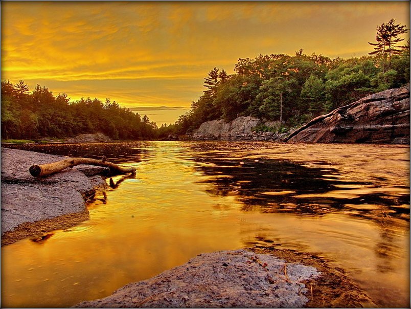 дзікі захад. сны золаташукальніка