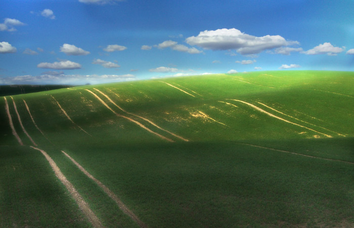 Простор полей