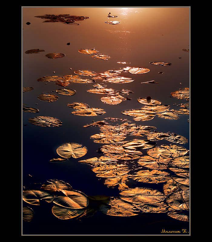 Вечерняя зарисовка