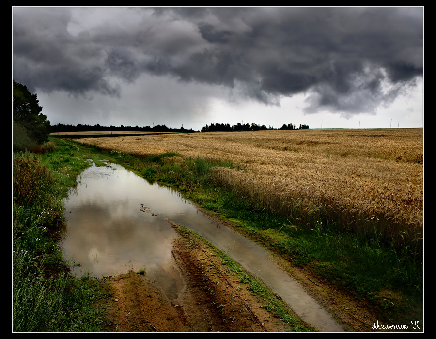 По проселочной дороге