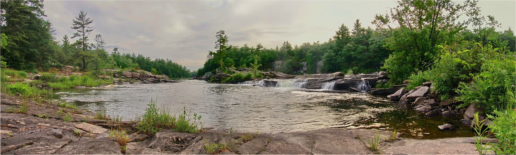 няласкавы сьвітанак