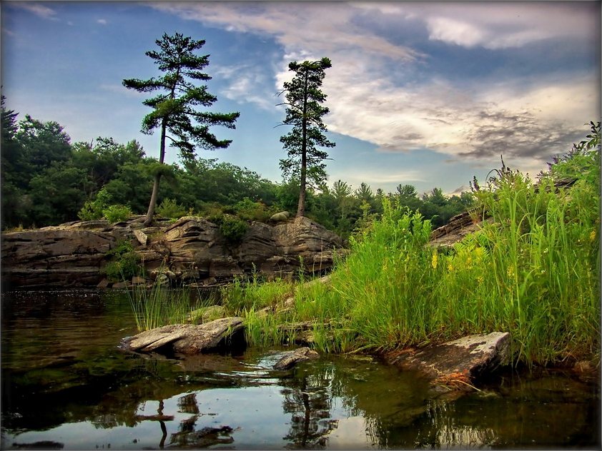 з сумам па драўлянай кладцы ў роснай траве..
