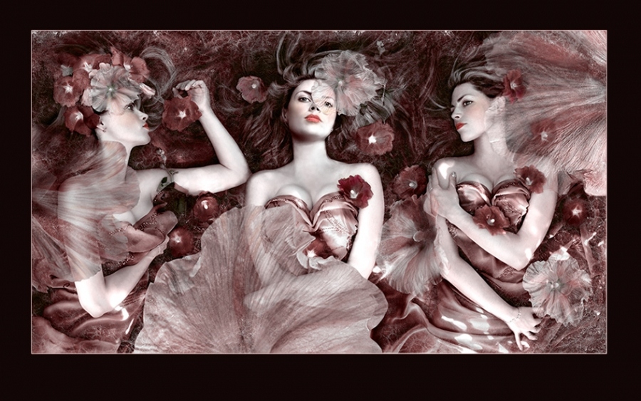 Царица мальв