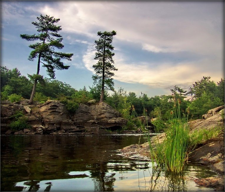 у пошуках дасканаласці ..4