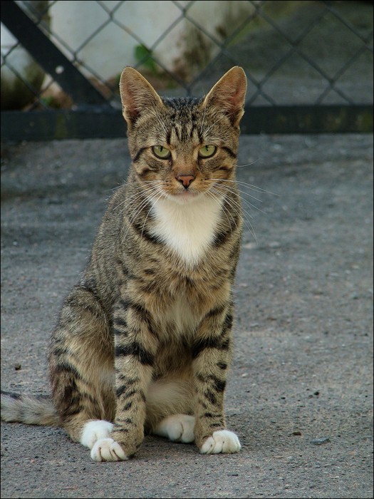 Последний градус терпения..