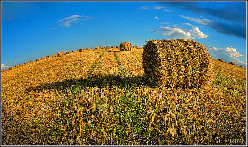ОДНА КОПНА УЕХАЛА...