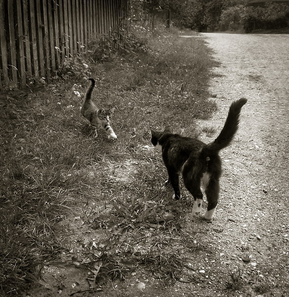 привет мама!