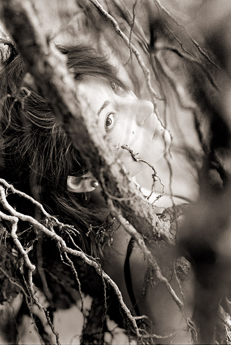 Держаться Корней