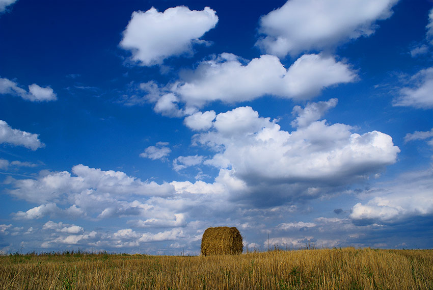 Не суждено взлететь