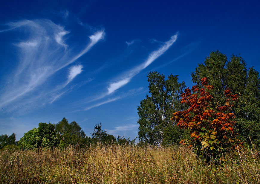 Так ощутимо дыхание осени!..