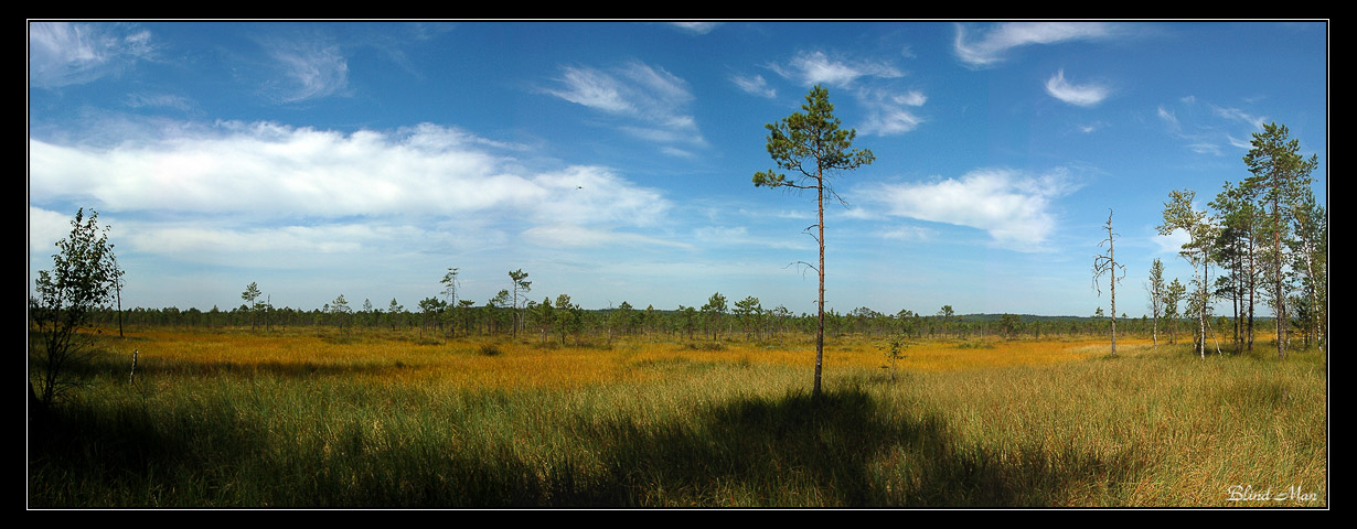 Страна болот...