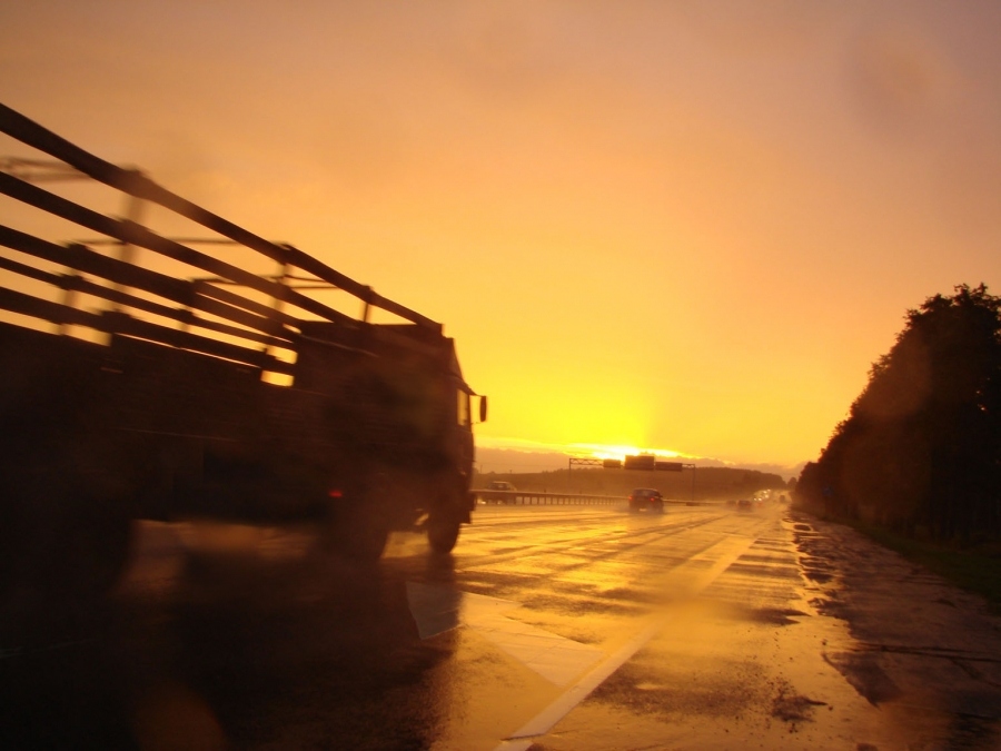 Домой... домой..