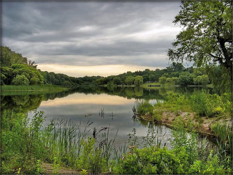сумная, з летам разьвітальная..