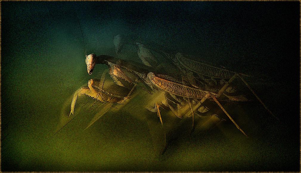 Хазарский Боевой Богомол в Атаке. Гобелен