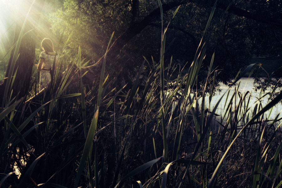 луч солнца золотого (для всех, кого застал рассвет там где рождается любовь)