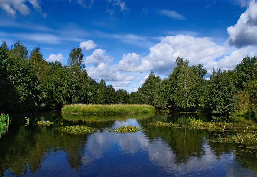 На Рыбчанке